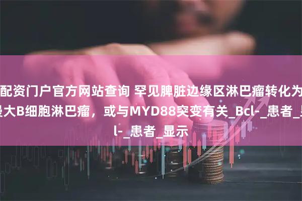 配资门户官方网站查询 罕见脾脏边缘区淋巴瘤转化为弥漫大B细胞淋巴瘤，或与MYD88突变有关_Bcl-_患者_显示