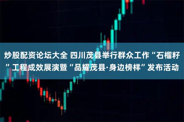 炒股配资论坛大全 四川茂县举行群众工作“石榴籽”工程成效展演暨“品耀茂县·身边榜样”发布活动