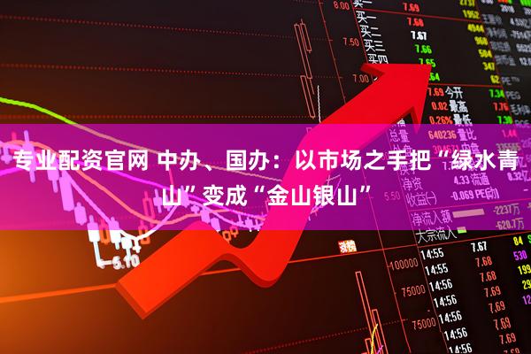 专业配资官网 中办、国办：以市场之手把“绿水青山”变成“金山银山”
