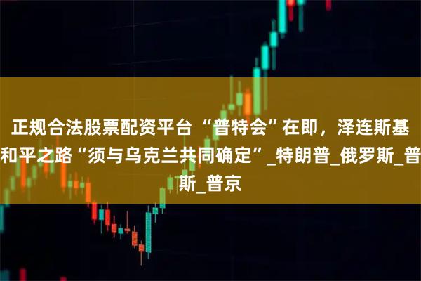 正规合法股票配资平台 “普特会”在即，泽连斯基：和平之路“须与乌克兰共同确定”_特朗普_俄罗斯_普京